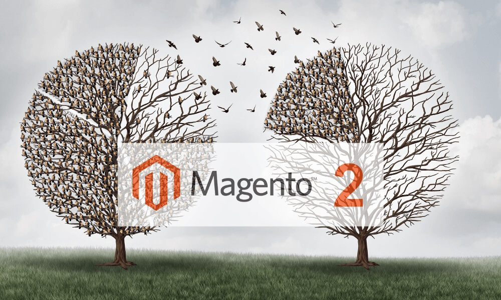 Migrate from Magento1 to Magento2